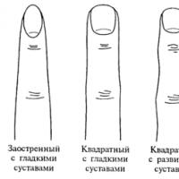 Что длина пальцев говорит о вашем характере?